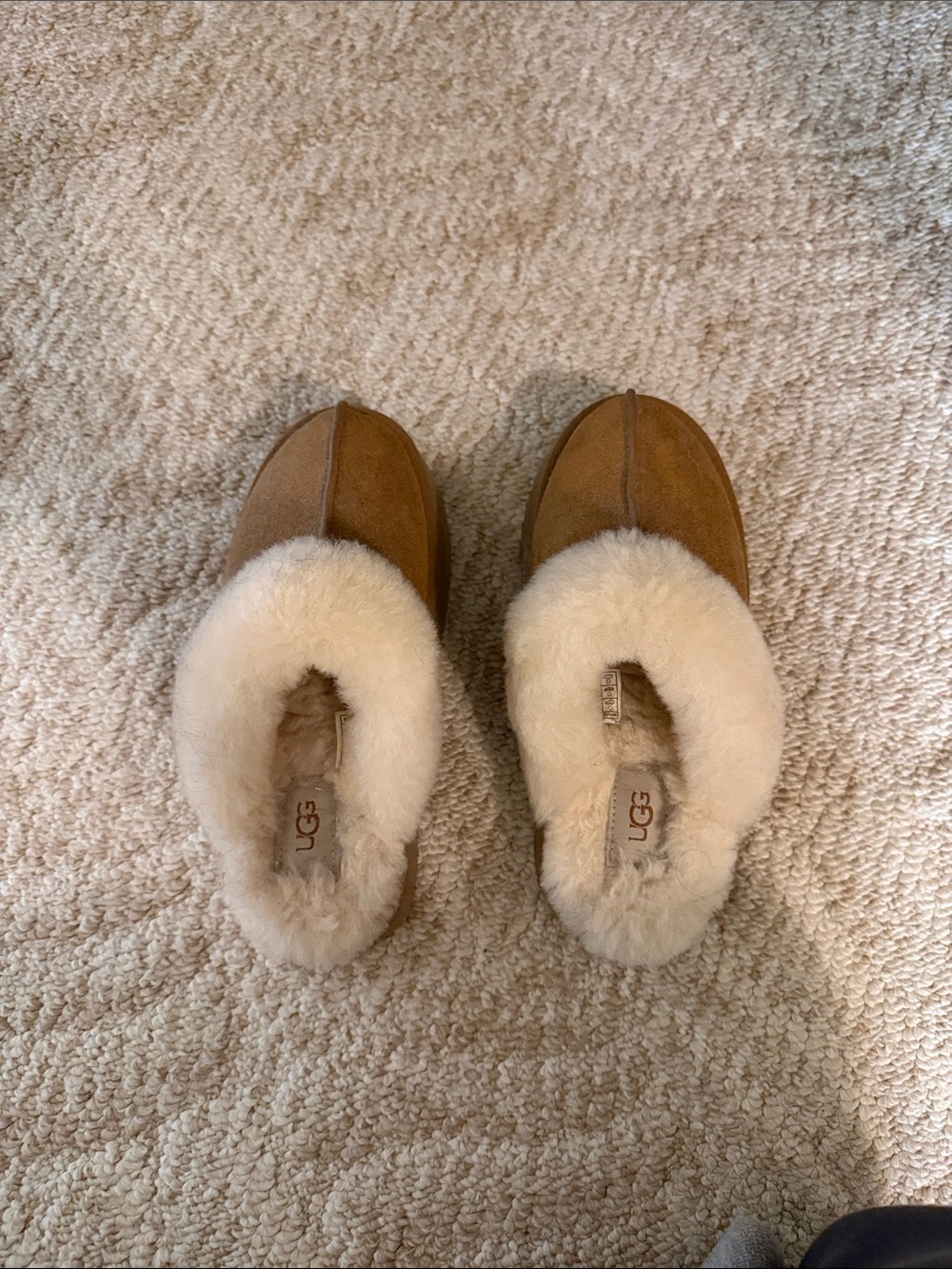UGG Chestnut Brown Sheepskin Clog Slippers with Cream Fur